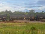 TCBX 306290